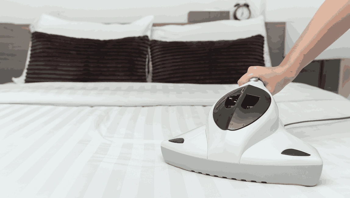 Professional Mattress Cleaning Malvern